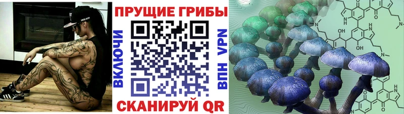 как найти   Касли  Галлюциногенные грибы мицелий 